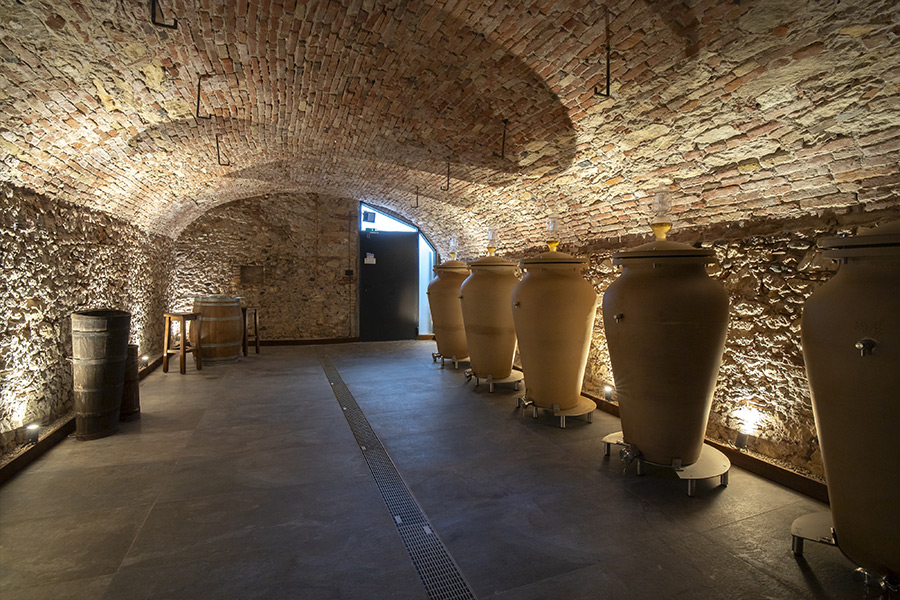 Montacarichi Cantine Castello Soave (VR)